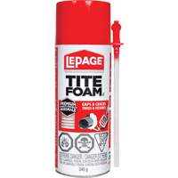 Titefoam Gaps & Cracks Insulating Foam Sealant, Aerosol Can, White Groupe Generik