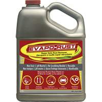 Evapo-Rust&reg; Super Safe Rust Remover, Jug Groupe Generik