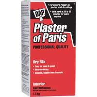 Plaster of Paris Dry Mix, 2 kg, Box Groupe Generik
