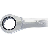Non-Reversing Ratcheting Combination Wrench Groupe Generik