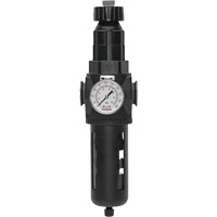 Modulair 400 Filter/Regulator with Manual Drain, 3/4" NPT, 200 psi, 9.1 fl. oz. Capacity Groupe Generik