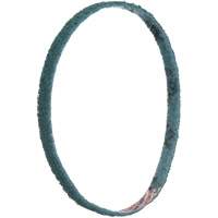 Scotch-Brite Surface Conditioning File Belts Groupe Generik