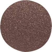 Wood Sanding Disc, 12" Dia., 60 Grit Groupe Generik