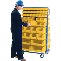 Support mobile deux c&ocirc;t&eacute;s pour bacs, &agrave; deux c&ocirc;t&eacute;s, 96 bacs, 36" la x 24" p x 63" h Groupe Generik