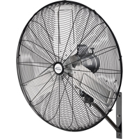 Oscillating Wall Fan, Industrial, 2 Speed, 30" Diameter Groupe Generik