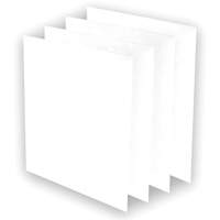 Pr&eacute;-filtres AeraMax Pro AM3 ou AM4, 13,75" la x 0,13" p x 14,38" h Groupe Generik