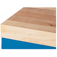 Workbench Tops