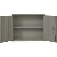 Armoire murale, Acier, 2 Tablettes, 30" h x 36" la x 12" P, Gris Groupe Generik