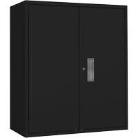 Armoire de rangement Lo-Boy, Acier, 2 Tablettes, 42" h x 36" la x 18" P, Noir Groupe Generik