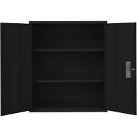 Armoire de rangement Lo-Boy, Acier, 2 Tablettes, 42" h x 36" la x 18" P, Noir Groupe Generik