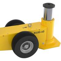 Mammut Jack, 110 Ton(s), Air Hydraulic Groupe Generik