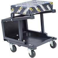 2-in-1 Seat-Stool Combo Groupe Generik