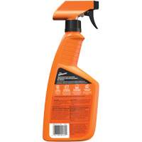 Multi-Purpose Auto Cleaner, 16 oz./473 ml, Trigger Bottle Groupe Generik