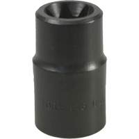E-18 Torx&reg; Socket Groupe Generik