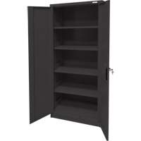 Storage Cabinet, Steel, 4 Shelves, 66" H x 30" W x 15" D, Black Groupe Generik