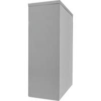 Armoire de rangement &agrave; hauteur de comptoir, Acier, 2 Tablettes, 42" h x 30" la x 15" P, Gris Groupe Generik