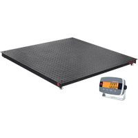 Defender 3000 Floor Scale, 5000 lbs. Capacity, 4' L x 4' W Groupe Generik