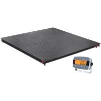 DEFENDER 3000 Floor Scale, 2500 lbs. Capacity, 48" W x 48" L Groupe Generik