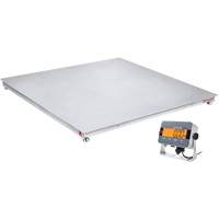 DEFENDER 3000 Floor Scale, 2500 lbs. Capacity, 48" W x 48" L Groupe Generik