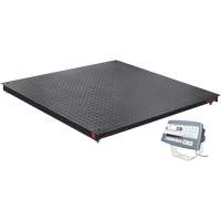 DEFENDER 5000 Floor Scale, 2500 lbs. Capacity, 48" W x 48" L Groupe Generik