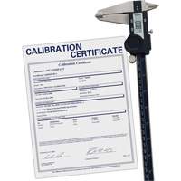 Digital Caliper with Traceable Certificate, 0.0005" (0.01 mm) Resolution, 0" - 12" (0 mm - 300 mm) Range Groupe Generik