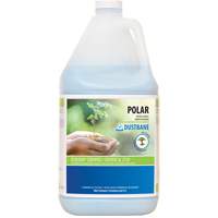 Nettoyant pour salle de bain Polar, 4 L, Cruche Groupe Generik