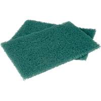 Scotch-Brite Hand Pads, Scrubbing, 6" W x 9" L Groupe Generik
