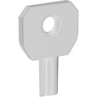 Lock or Not Dispenser Key Groupe Generik