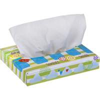 Kleenex&reg; Junior Facial Tissues, 2 Ply, 8.4" L x 5.5" W, 40 Sheets/Box Groupe Generik