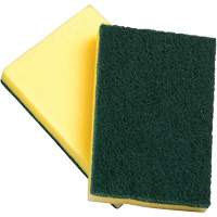 Sponges with Scouring Pad, Scrubbing, 4" W x 6" L Groupe Generik