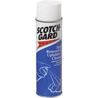 D&eacute;tachant pour tapis et nettoyant pour meubles rembourr&eacute;s, 17 oz, Canette a&eacute;rosol Groupe Generik