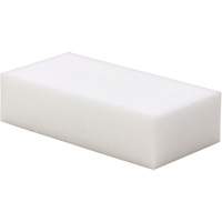 eXpunge&reg; Cleaning Sponges, Scrubbing, 3-3/8" W x 6-1/4" L Groupe Generik