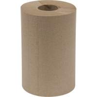 Rouleau d'essuie-tout Everest Pro, 1 pli, Standard, 300' lo Groupe Generik