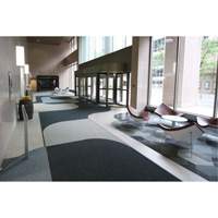 Tapis dentr&eacute;e Supreme Knob, Essuie-pieds/grattoir, 3-1/2' x 6' x 7/16", Charbon Groupe Generik