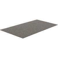 Tapis dint&eacute;rieur/ext&eacute;rieur Tundra, Latex/Polypropyl&egrave;ne, Grattoir Type, Motif Velours touffet&eacute;, 3-1/2' x 15', Charbon Groupe Generik