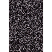 Tapis dint&eacute;rieur/ext&eacute;rieur Tundra, Latex/Polypropyl&egrave;ne, Grattoir Type, Motif Velours touffet&eacute;, 3-1/2' x 15', Charbon Groupe Generik