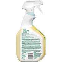 CloroxPro Clorox EcoClean All-Purpose Cleaner, 946 ml, Trigger Bottle Groupe Generik