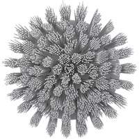 Brosse ronde HyDrive pour perceuse, Soies Tr&egrave;s ferme, Longueur de 3-1/10", Blanc Groupe Generik