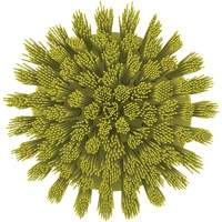Brosse ronde HyDrive pour perceuse, Soies Tr&egrave;s ferme, Longueur de 3-1/10", Jaune Groupe Generik