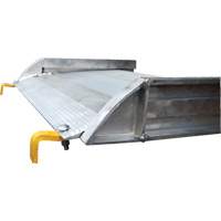 Rampe de promenade en aluminium, Capacit&eacute; de 1000 lb, 38" la x 193-1/8" lo Groupe Generik