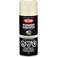 Fusion All-In-One Spray Paint, Dover White, Gloss, 12 oz., Aerosol Can Groupe Generik