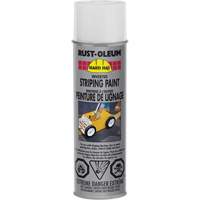 Inverted Marking Paint Spray, White, Aerosol Can Groupe Generik