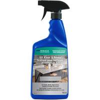 Miracle Sealants&reg; 511 Kleen & ReSeal Sealer, Trigger Bottle Groupe Generik