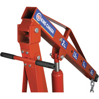 2-Ton Folding Shop Crane, 4000 lbs. (2 tons) Capacity Groupe Generik