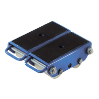 Pakrol 4-Wheel Polyurethane Skate Groupe Generik