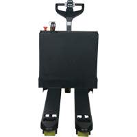 Fully Powered Electric Pallet Truck, 4500 lbs. Cap., 48" L x 30.25" W Groupe Generik