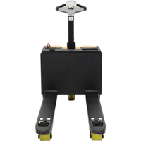 Fully Powered Electric Pallet Truck With  Scale, 3300 lbs. Cap., 48" L x 28.25" W Groupe Generik