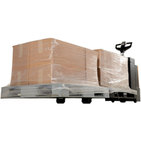 Fully Powered Electric Pallet Truck With  Stand-On Platform, 4500 lbs. Cap., 96" L x 30" W Groupe Generik