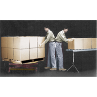 Plateformes de levage manuelles Pallet Pal, 43-5/8" lo x 43-5/8" la, Capacit&eacute; 4500 lb Groupe Generik