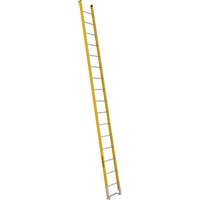 Single Section Straight Ladder - 6100 Series, 16', Fibreglass, 375 lbs., CSA Grade 1AA Groupe Generik
